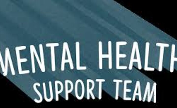Image of Mental Health Support Team April Newsletter